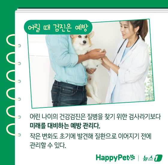 ⓒ News1 김지영 디자이너