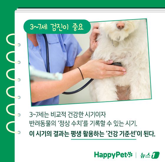 ⓒ News1 김지영 디자이너