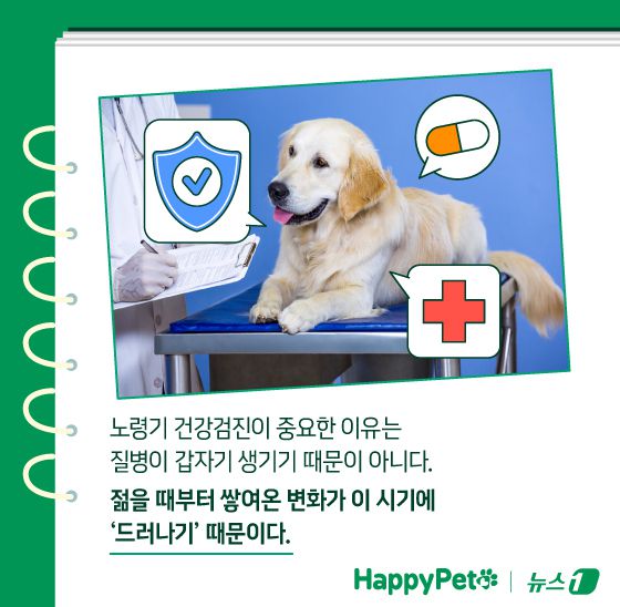 ⓒ News1 김지영 디자이너