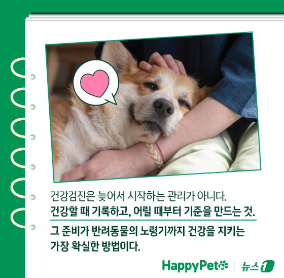 ⓒ News1 김지영 디자이너