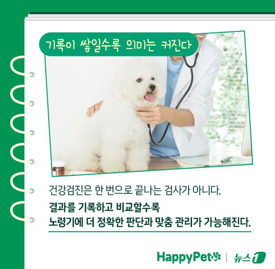 ⓒ News1 김지영 디자이너