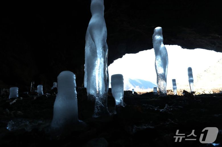 충북 제천시 덕산면 수산리 보덕암 인근 보덕굴 '거꾸로 자라는 고드름'. 2026.1.22 ⓒNews1 /뉴스1 손도언 기자