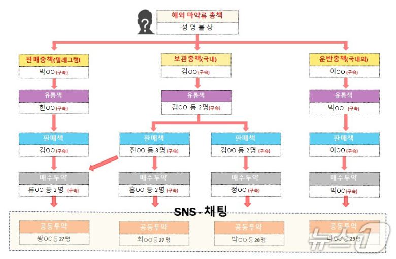 범죄 조직도.(강원경찰청 제공. 재판매 및 DB금지)/뉴스1