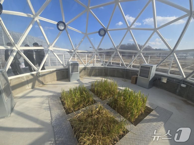 농촌진흥청 기후변화연구동의 '에코돔'에서 미래기후변화로 변한 환경을 모사해 작물을 재배하는 실험이 진행 중이다. 2026.1.23 ⓒ 뉴스1 김승준 기자