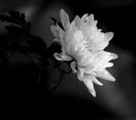 [사진=박영선 장관 페이스북]