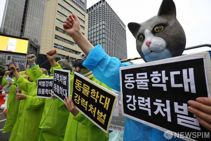 [서울=뉴스핌] 백인혁 기자 = 한국동물보호연합, 동물의목소리 회원들이 15일 오후 서울 종로구 광화문 광장에서 '동물학대' 강력처벌을 촉구하는 기자회견을 열고 구호를 외치고 있다. 이들은 이날 기자회견에서 사회적 약자를 대상으로 하는 동물학대 범죄는 강력 처벌하고 발본색원하여, 인간과 동물이 조화롭고 평화롭게 살아가는 동물학대 없는 사회를 만들어줄 것을 촉구했다. 2021.06.15 dlsgur9757@newspim.com
