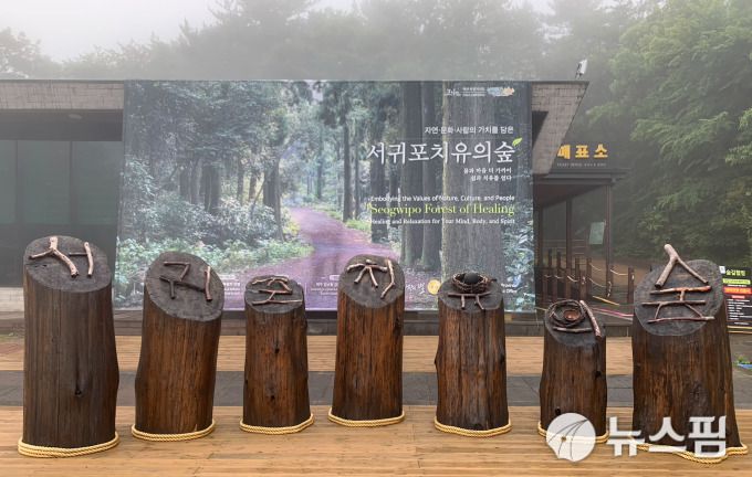 서귀포 치유의 숲. 2022.08.02 mmspress@newspim.com