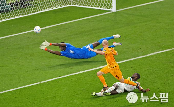 [카타르 로이터=뉴스핌] 이태성 기자 = 22일(한국시간) 카타르 알투마마 스타디움에서 열린 세네갈과 네덜란드의 A조 두번째 경기에서 네덜란드 데이비 클라센(MF, AFC 아약스)이 쐐기골을 만들었다. 이날 경기는 네덜란드가 2대0으로 승리했다. 2022.11.22 victory@newspim.com