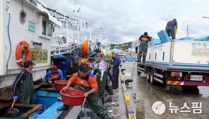 [울진=뉴스핌] 남효선 기자 = 동해안의 최고의 어업전진기지이자 해양생물 종 다양성의 보고인 울진 죽변항. 2022.12.11 nulcheon@newspim.com