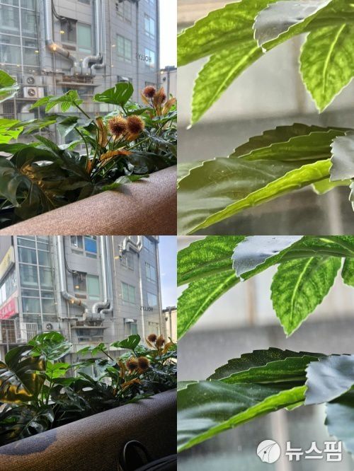 아이폰 13프로(상단)과 갤럭시S23 울트라로 10배 줌 촬영을 실시해봤다.[서울=뉴스핌] 이지민 기자 = 2023.02.02 catchmin@newspim.com