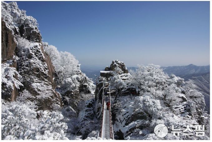 2024.12.23 gojongwin@newspim.com