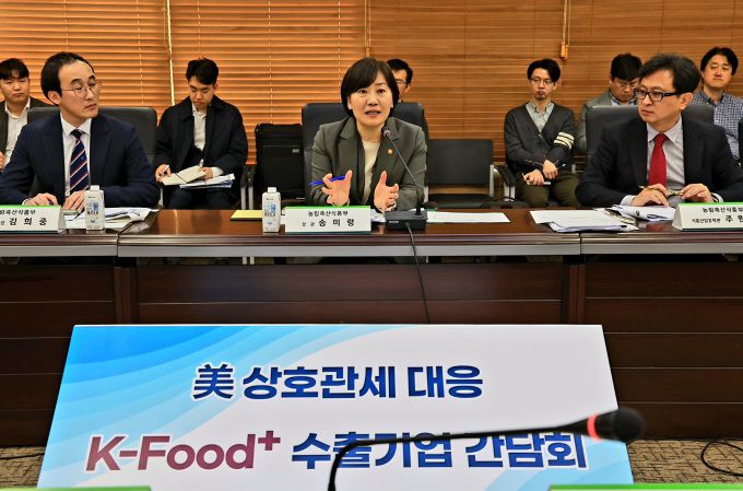 8일 서울 aT센터에서 미국 상호관세 대응 농식품 수출기업 간담회를 개최하고 있는 송미령 농림축산식품부 장관 [사진=농림축산식품부] 2025.04.08 plum@newspim.com