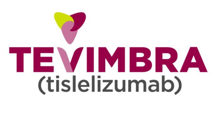 테빔브라(성분명: 티슬렐리주맙) 로고 [사진=베이진 홈페이지]