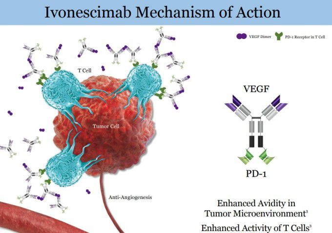 이보네시맙의 작용 원리 [사진=서밋 테라퓨틱스]