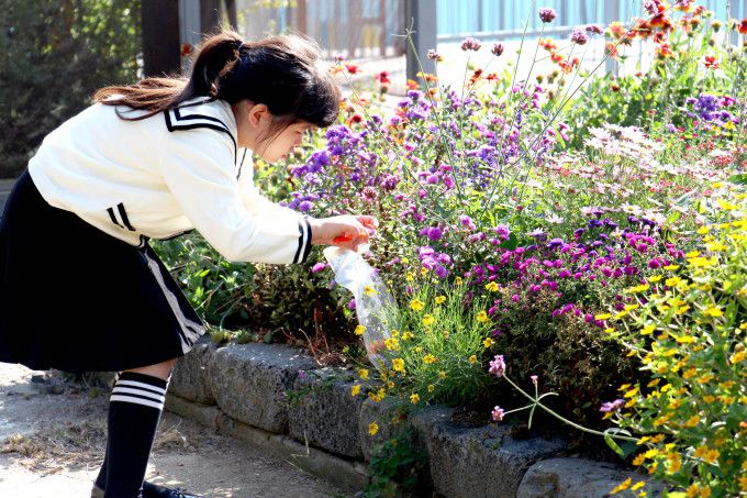 서울문화예술교육센터 양천의 '모두의 아뜰리에' '먼지정원'. [사진=서울문화재단]