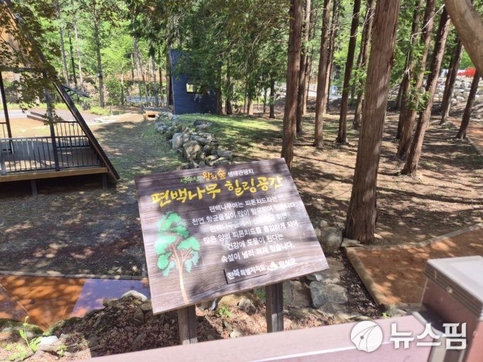 [임실=뉴스핌] 정영희 기자 = 전북 임실군에선 '성수산 왕의 숲 생태관광지' 내 자연휴양림을 즐길 수 있다. 2025.05.07 chulsoofriend@newspim.com