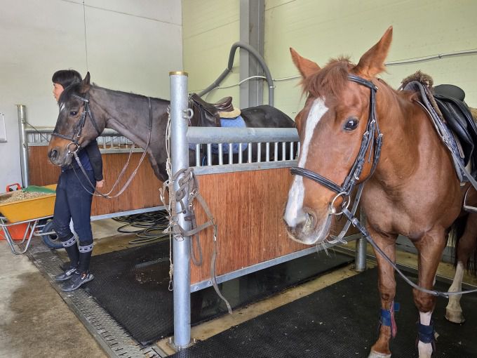 [전북=뉴스핌] 이정아 기자 = 지난 8일 전북 장수승마레저파크에서 승마 체험을 기다리는 건봉사와 더그룸블랙. 2025.05.09 plum@newspim.com