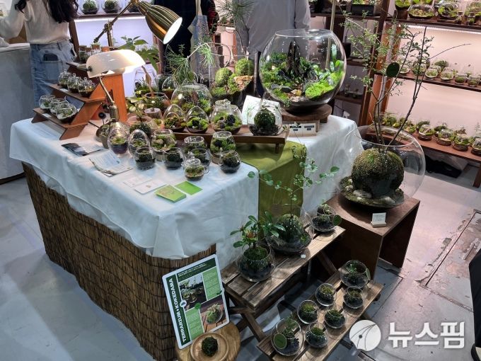 [사진=송은정 기자]