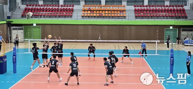 [삼척=뉴스핌] 이형섭 기자 = 제60회 강원특별자치도민체육대회 이튿날 배구경기장에서 열린 동해시와 춘천시 일반부 경기. 2025.06.13 onemoregive@newspim.com