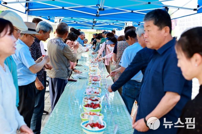 [울진=뉴스핌] 남효선 기자 = 16일 울진읍 소재 '울진바지게시장'에서 열린 '제4회 울진 체리 품평회'에서 주민들이 다양한 맛과 품종의 체리를 시식하고 있다. 2025.06.16 nulcheon@newspim.com