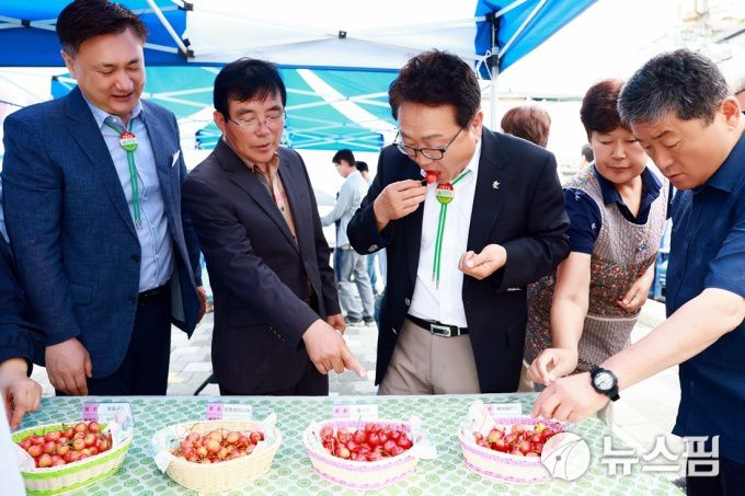 [울진=뉴스핌] 남효선 기자 = 손병복 경북 울진군수(오른쪽 두번째)가 16일 울진읍 소재 '울진바지게시장'에서 열린 '제4회 울진 체리 품평회'를 찾아 다양한 색감과 맛을 지닌 체리를 직접 맛보고 있다. 2025.06.16 nulcheon@newspim.com
