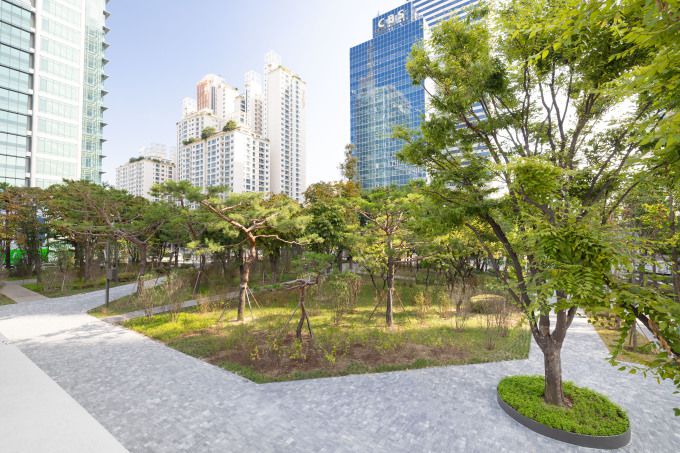 대한항공이 1차 그린 스카이패스(GREEN SKYPASS)로 도심 숲 조성에 참여한 서울 양천구 오목공원 전경. [사진=대한항공]