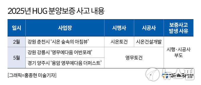 2025년 HUG 분양보증 사고 내용. [그래픽=홍종현 미술기자]