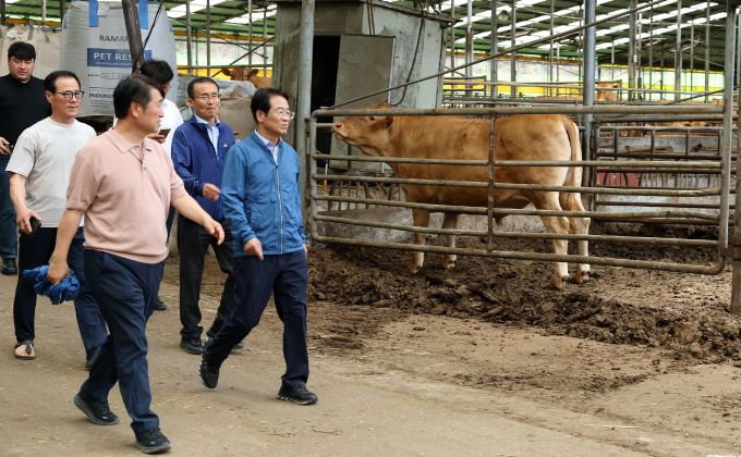 강진원 강진군수 가축 피해현장 방문. [사진=강진군] 2025.07.07 ej7648@newspim.com