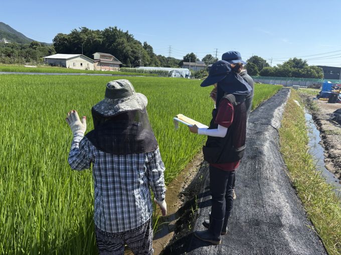 포천시, 주요 벼 병해충 확산 대비 철저한 예찰 및 적기방제 당부[사진=포천시] 2025.07.16 sinnews7@newspim.com
