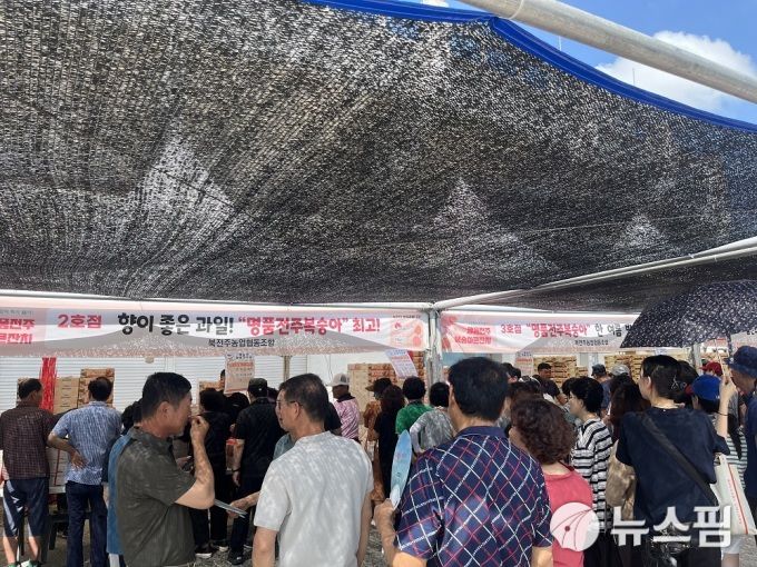 명품전주복숭아 직거래 행사가 24일 풍남문 광장에서 개최된다.[사진=전주시]2025.07.21 gojongwin@newspim.com