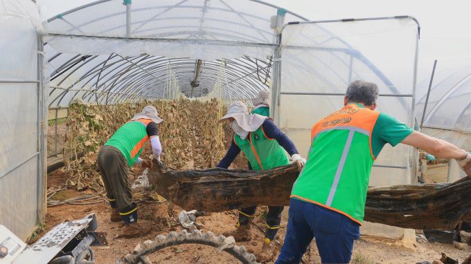 과천시는 23일, 기록적인 폭우로 큰 피해를 입은 충남 예산군에서 수해 복구를 위한 자원봉사활동을 실시했다고 밝혔다. [사진=과천시]