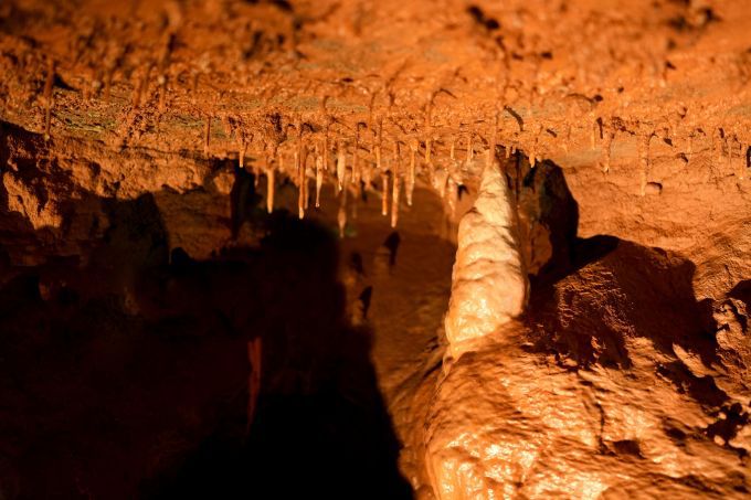동해시 천곡황금박쥐동굴.[사진=동해시시설관리공단 정병희] 2025.08.03 onemoregive@newspim.com