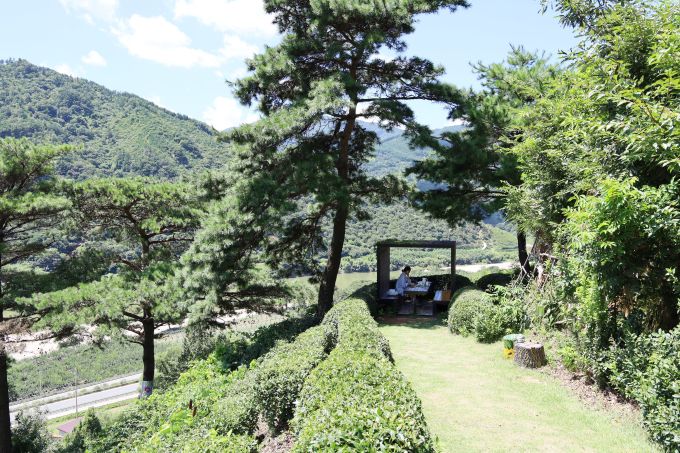 [서울=뉴스핌] 최문선 기자 = '따신골녹차정원' 티캠핑. [사진=한국관광공사] 2025.08.26 moonddo00@newspim.com