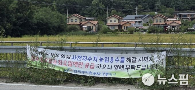 [강릉=뉴스핌] 이형섭 기자 = 강릉 사천면 농경지에 걸린 현수막. 2025.09.06 onemoregive@newspim.com