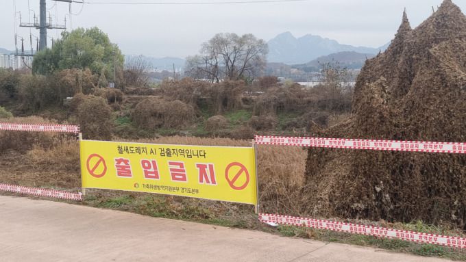 창릉천 철새도래지 출입통제 현장. [사진=고양시] 2024.12.20 atbodo@newspim.com