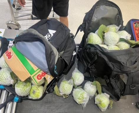 국경검역(휴대) 및 수입금지품 유통 현장 적발. [사진=농림축산검역본부] 2025.09.29 plum@newspim.com