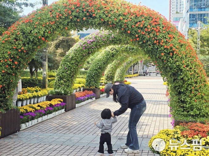 [무안=뉴스핌] 조은정 기자 = '2025년 무안군화 국화전시회'가 열리고 있는 전남 무안군 삼향읍 남악 중앙공원. 2025.10.23 ej7648@newspim.com