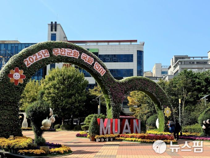 [무안=뉴스핌] 조은정 기자 = '2025년 무안군화 국화전시회'가 열리고 있는 전남 무안군 삼향읍 남악 중앙공원. 2025.10.23 ej7648@newspim.com