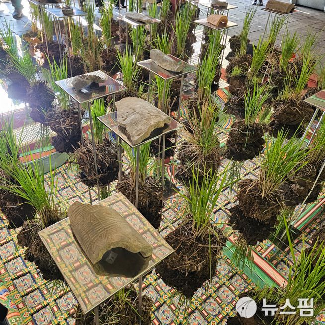 [서울=뉴스핌] 최문선 기자 = 레오킴 작가 2025.11.04 moonddo00@newspim.com