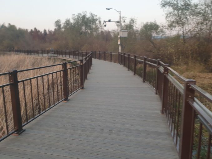 왕송호수 공원정비. [사진=의왕시]