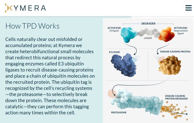 키메라 테라퓨틱스 로고 [사진 = 업체 홈페이지 갈무리]