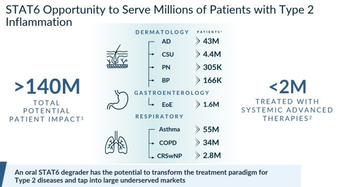 'STAT6 분해제' KT-621의 광범위한 적응증 기회 [자료 = 키메라 테라퓨틱스]