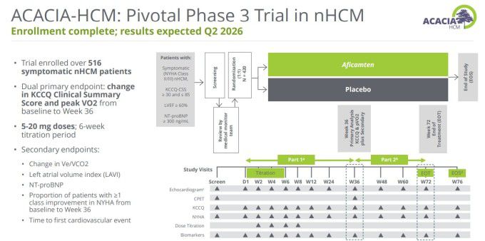 비폐쇄성 비대성 심근병증(nHCM)에 대한 3상 ACACIA-HCM 임상시험 [자료= 사이토키네틱스 홈페이지]