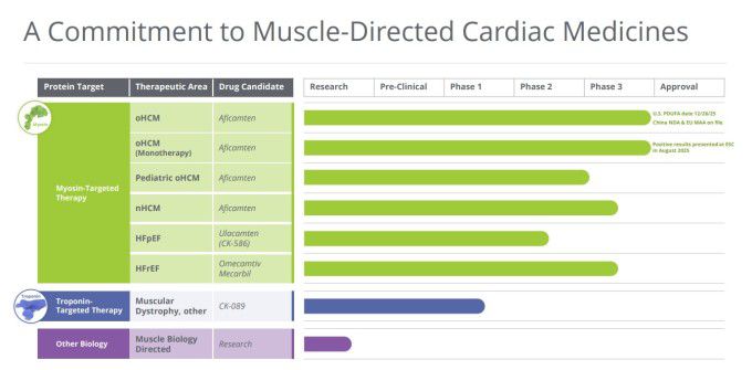 사이토키네틱스의 파이프라인 [자료 = 업체 홈페이지]