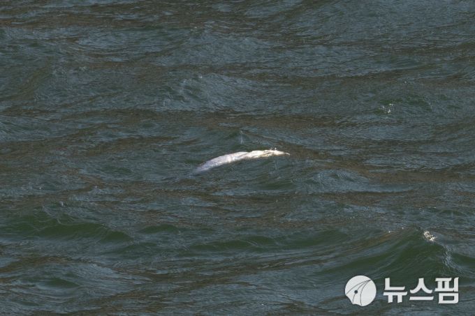 2026.01.07 ryuchan0925@newspim.com