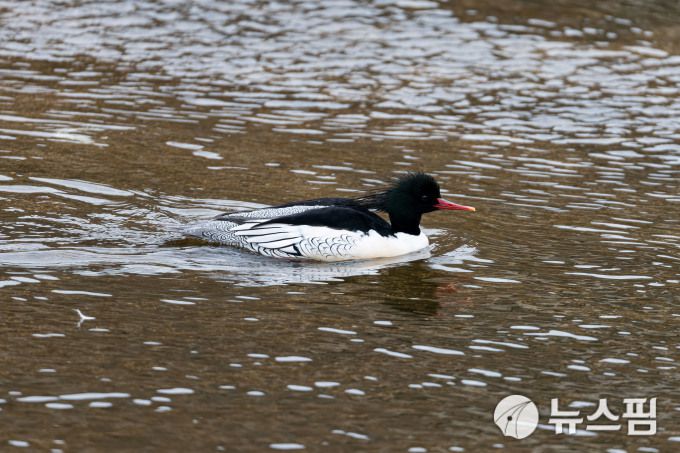 2026.01.07 ryuchan0925@newspim.com