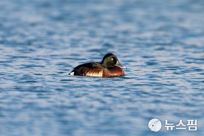 2026.01.07 ryuchan0925@newspim.com