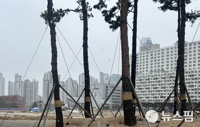 [수원=뉴스핌] 김가현 기자 = 경기도의 새로운 상징이 될 '마지막 퍼즐'의 경기정원 공사 현장은 열기로 가득했다. 2026.01.12 1141world@newspim.com