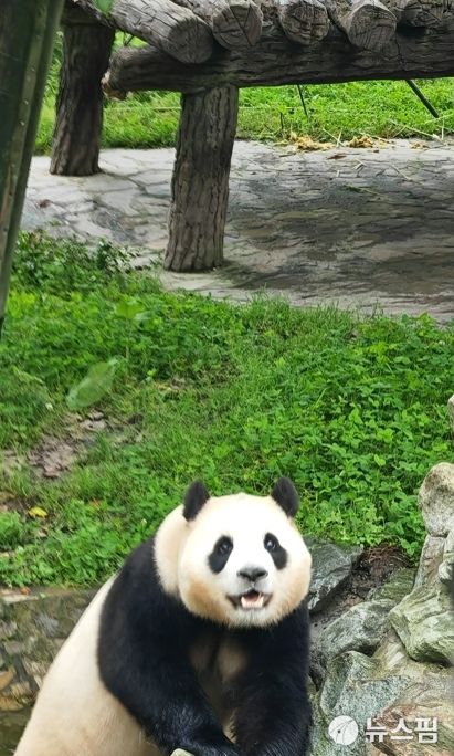 [서울=뉴스핌] 최헌규 중국전문기자= 2026.01.14 chk@newspim.com