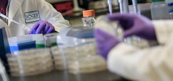 다나허 연구진들의 분주한 손길 [사진=업체 제공]